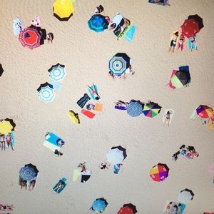 Meet your Posher, Caitlyn